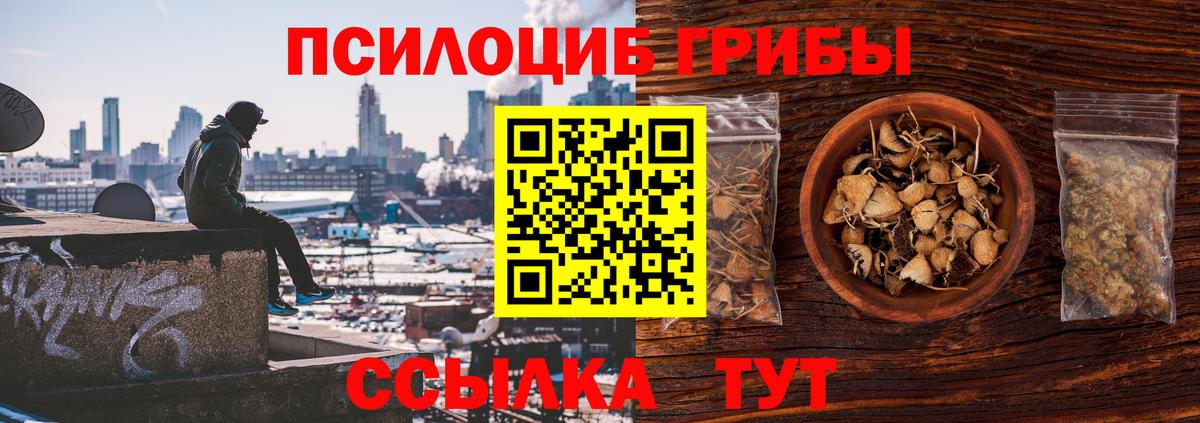 Галлюциногенные грибы Psilocybe Шахты