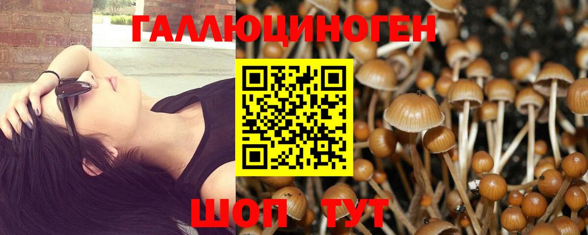 Шахты  Псилоцибиновые грибы Psilocybe  Вход с VPN 